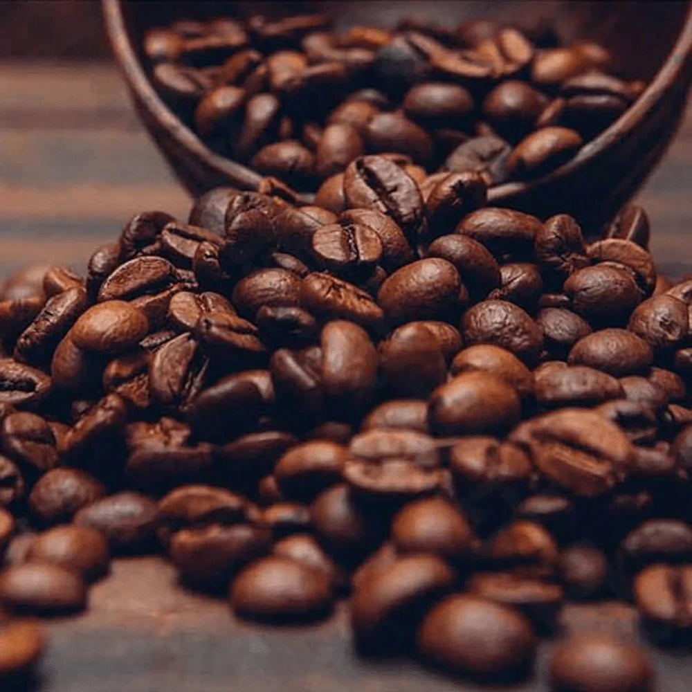 Portable Electric Coffee Bean Grinder/kr-804