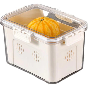 Ventilated Fruit Storage Box With Lid - Elevate Your Fresh Food Storage Experience/kn-406